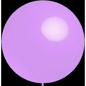 Paarse ballonnen - Pastel rond - 30cm