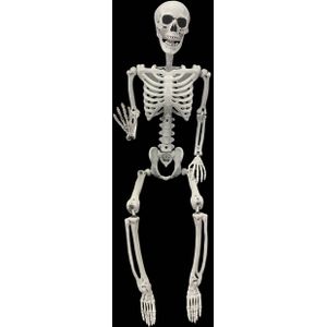 Halloween skelet - 90cm