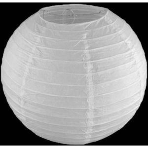 Witte lampion - 40cm