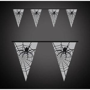 Vlaggenlijn spin - 6m