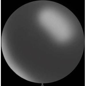 Transparante ballonnen - Rond - 30cm