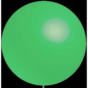 Mintgroene ballonnen - Rond - 30cm