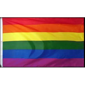 Regenboog vlag - 90x150cm