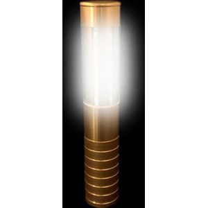 Champagne fles topper - LED - Goud