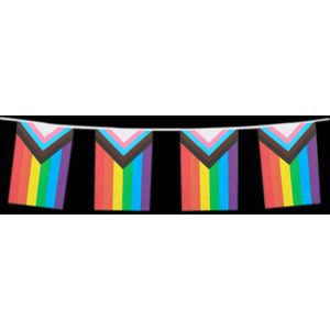 Vlaggenlijn – Regenboog Progress – 6m
