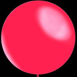 Fuchsia ballonnen - Metallic rond - 28cm