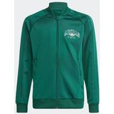 Adidas Varsity Unisex Trainingspakken - Groen  - Foot Locker