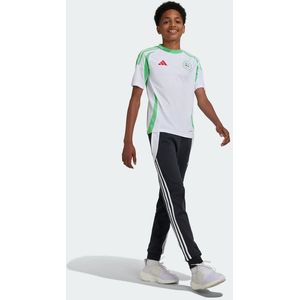 adidas - Thuis Shirt - Algérie 2025 - Kinderen - Groen Wit Rood
