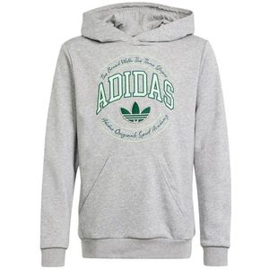 Adidas Vrct Unisex Hoodies - Grijs  - Katoen Jersey - Foot Locker