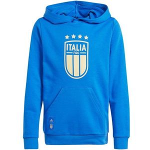 Adidas Italy Unisex Hoodies - Blauw  - Katoen Jersey - Foot Locker