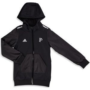 Adidas Badge Of Sport Pogba Unisex Hoodies - Zwart  - Poly Fleece - Foot Locker
