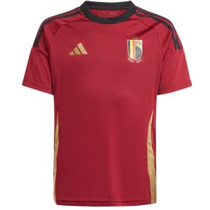 Adidas Belgium 24 Home Fan - Basisschool Jerseys/replicas