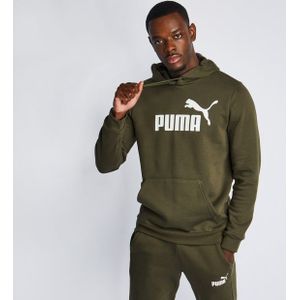 Puma Essentials Big Logo Heren Hoodies - Groen  - Foot Locker