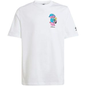 Adidas Graphics Unisex T-shirts - Wit  - Foot Locker
