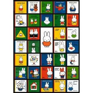 Nijntje - bookcovers