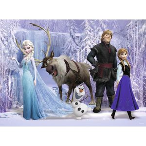 Disney - In het Rijk van de Sneeuwkoningin