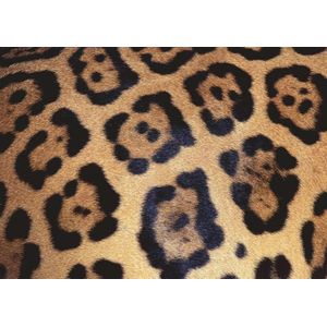 Dierenprint - Impossible Puzzel