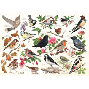 Birds In My Garden