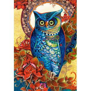 Hoot - David Galchutt