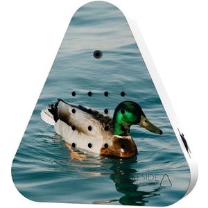 Lakesidebox Limited Edition Wild Duck