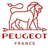 Peugeot Pepermolen Madras - 16 cm - U-select