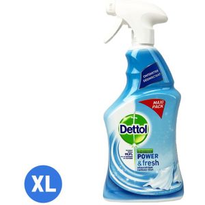Dettol Power & Fresh allesreiniger Katoenfris spray 750 ml