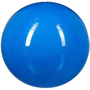 Relaxdays Gymnastiekbal Blauw O55cm