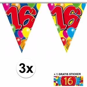3x vlaggenlijn 16 jaar met gratis sticker