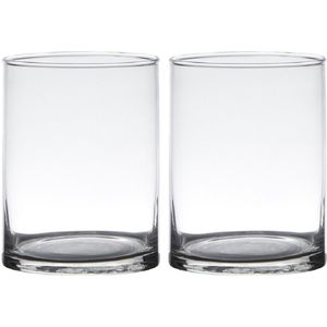 Set van 2x stuks transparante home-basics Cylinder vorm vaas/vazen van glas 20 x 12 cm - Bloemen/takken vaas voor binnen gebruik