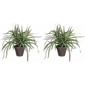 2x stuks dracaena kunstplanten van 34 cm in grijze pot - Kunstplanten/nepplanten