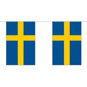 Luxe Zweden vlaggenlijn 9 meter - landen thema decoratie feestartikelen/versieringen