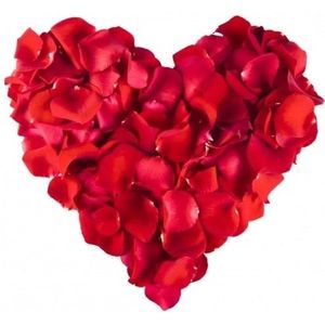 Rode rozenblaadjes 500 stuks - Valentijnsdag - valentijn decoratie / versiering