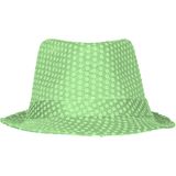 Carnaval verkleedset Partyman - glitter hoedje en bretels - fluor groen - heren - verkleedkleding