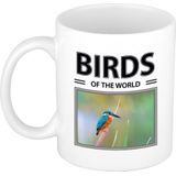 Dieren foto mok Ijsvogel - 300 ml - birds of the world - cadeau beker / mok Ijsvogels liefhebber