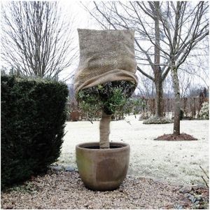 2x Duurzame plantenhoes tegen vorst met aantrekkoord naturel 1,5 meter x 125 cm 230 g/m2 â 100% natuurlijke beschermhoes â Winterafdekhoes â Winterhoes voor planten â Anti-vorst beschermhoes planten â Vorstbescherming â Biologische winterhoes