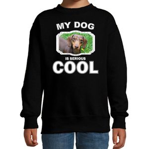 Teckel honden trui / sweater my dog is serious cool zwart - kinderen - Teckels liefhebber cadeau sweaters - kinderkleding / kleding