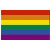 LHBT / Gay regenboog vlag 90 x 150 cm - Inclusief twee gratis regenboog stickers