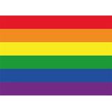 LHBT / Gay regenboog vlag 90 x 150 cm - Inclusief twee gratis regenboog stickers