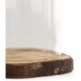 Dijk Natural Collections stolp - glas - houten bruin boomschijf plateau - D17 x H22 cm