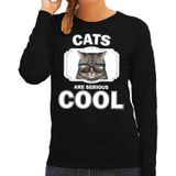 Dieren katten sweater zwart dames - cats are serious cool trui - cadeau sweater coole poes/ katten liefhebber