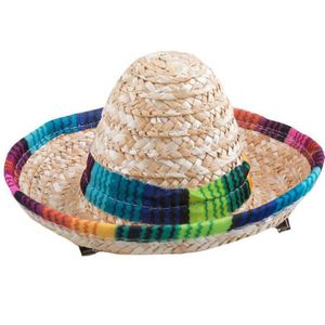 Funny Fashion Mexicaanse mini Sombrero hoedje - carnaval/verkleed accessoires - multi kleuren - stro