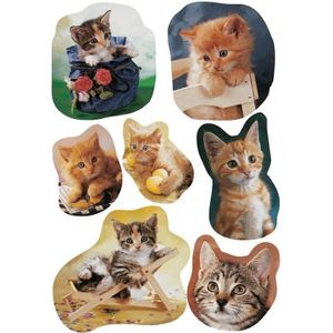 63x  Katten/poezen dieren stickers - kinderstickers - stickervellen - knutselspullen