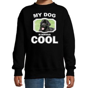 Newfoundlander honden trui / sweater my dog is serious cool zwart - kinderen - Newfoundlanders liefhebber cadeau sweaters - kinderkleding / kleding