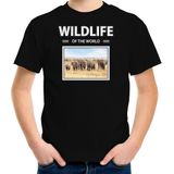 Dieren foto t-shirt Olifant - zwart - kinderen - wildlife of the world - cadeau shirt Olifanten liefhebber - kinderkleding / kleding