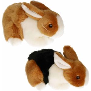 Setje van 2x stuks pluche knuffel konijnen van 20 cm - Dieren knuffels