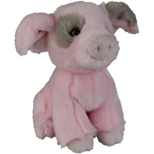 Pluche knuffel dieren Varken van 18 cm - Speelgoed varkens knuffels - Leuk als cadeau voor kinderen