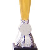 Trofee/prijs beker - zilver/goud middenstuk - kunststof - 26 x 10 cm