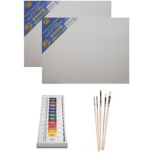 Schilders verf set van 12x tubes acrylverf/hobbyverf 12 ml + 2x doeken van 40 x 60 cm + 5x kwasten - basic kleuren in knijptubes