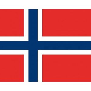20x Binnen en buiten stickers Noorwegen 10 cm - Noorse vlag stickers - Supporter feestartikelen - Landen decoratie en versieringen