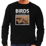 Dieren foto sweater Appelvink - zwart - heren - birds of the world - cadeau trui vogel liefhebber